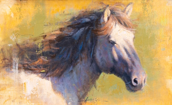 Study in Equine