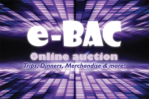 e-BAC Online Auction graphic