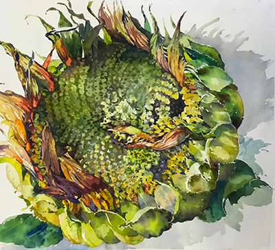 Found Object: Sunflower