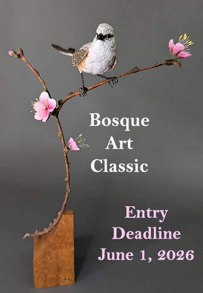 Scissor-tailed Bird by Ronnie Zint