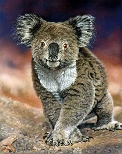 Koala Walk by Linda Becker