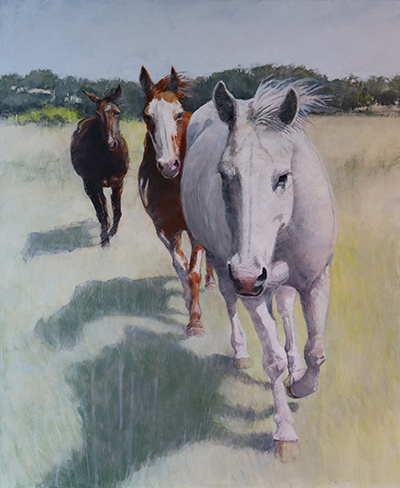 Horses running